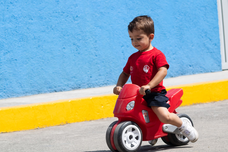 Ir a la Siguiente Foto