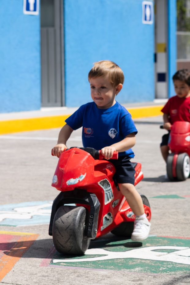 Ir a la Siguiente Foto