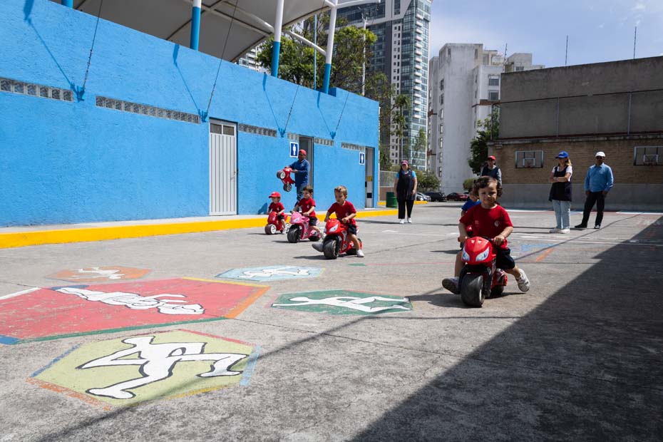 Ir a la Siguiente Foto