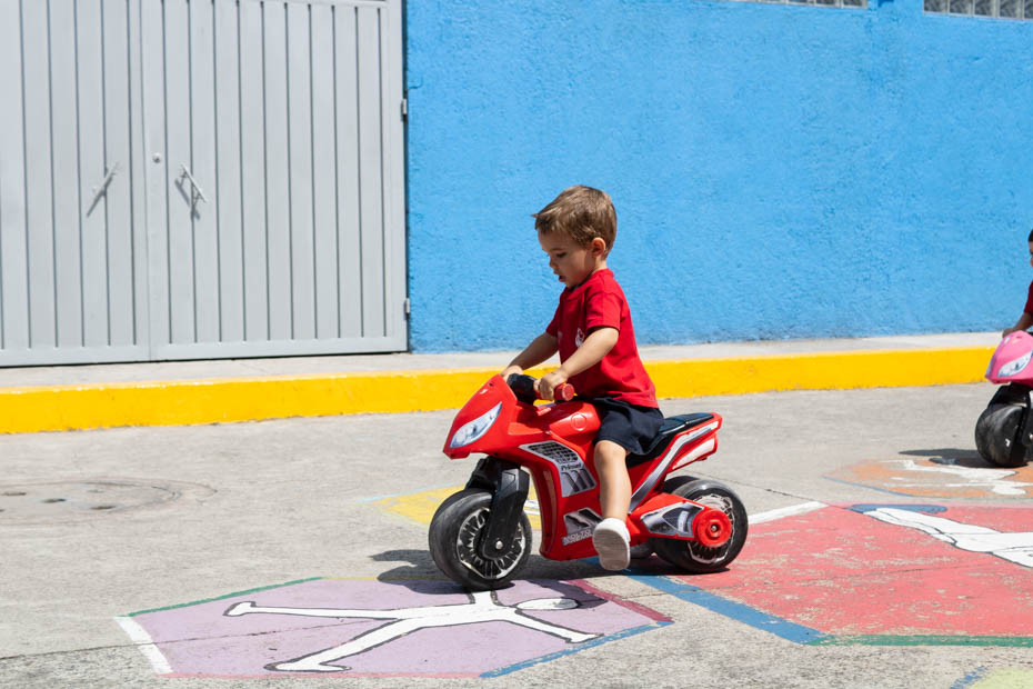 Ir a la Siguiente Foto