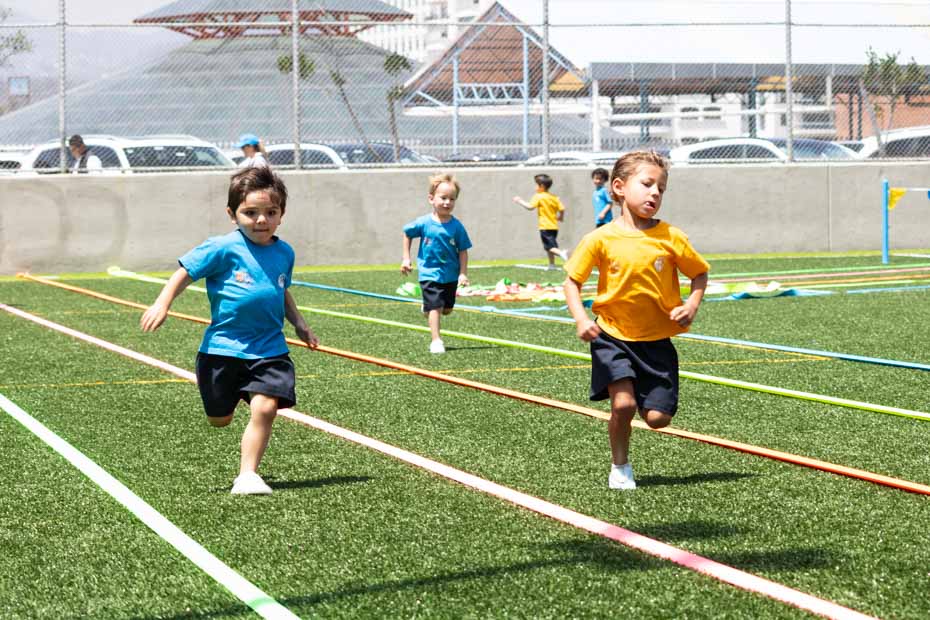 Ir a la Siguiente Foto