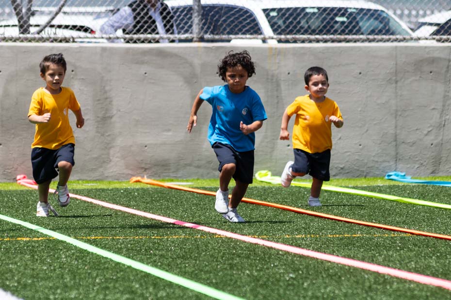 Ir a la Siguiente Foto