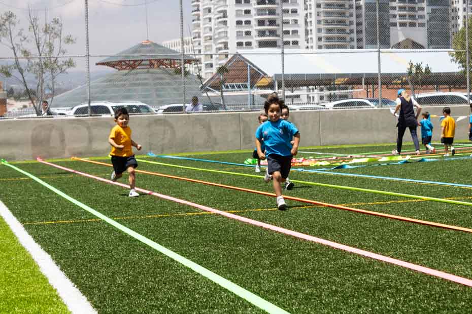 Ir a la Siguiente Foto