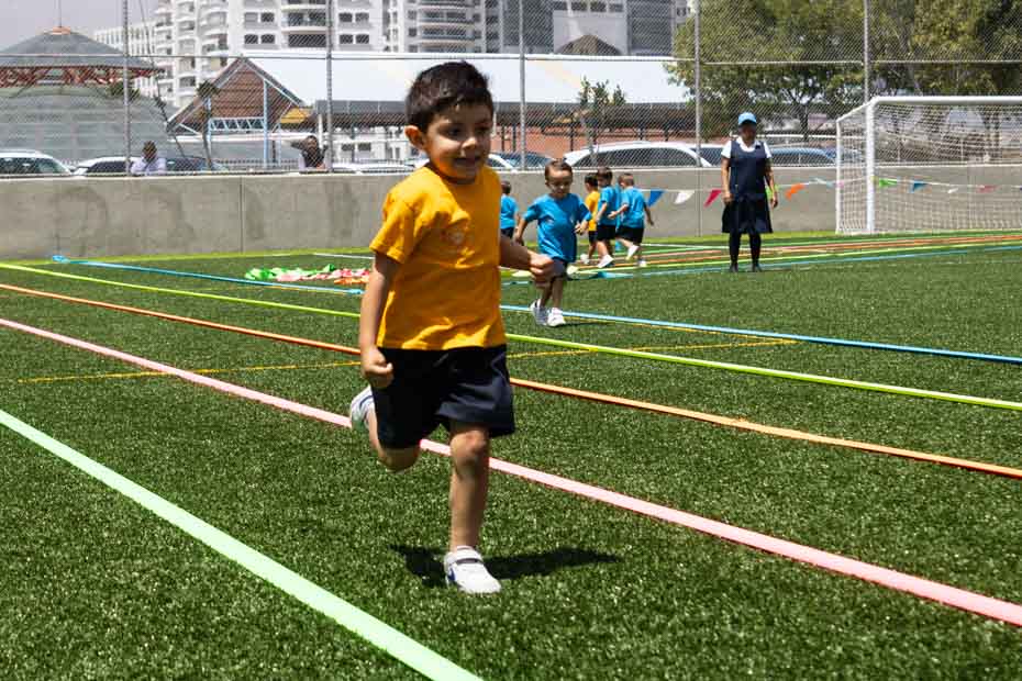 Ir a la Siguiente Foto