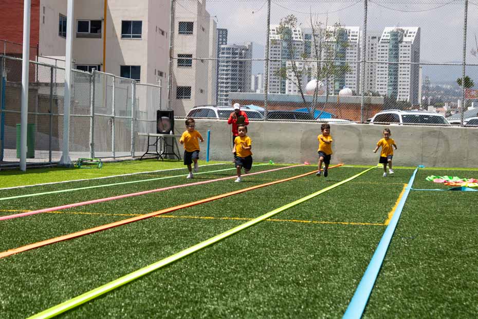 Ir a la Siguiente Foto