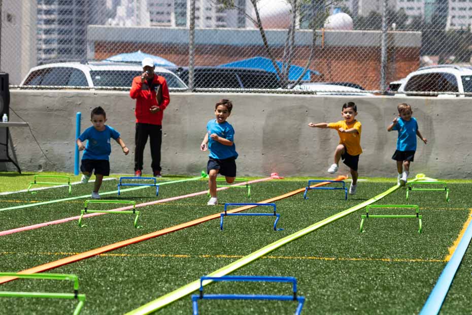 Ir a la Siguiente Foto