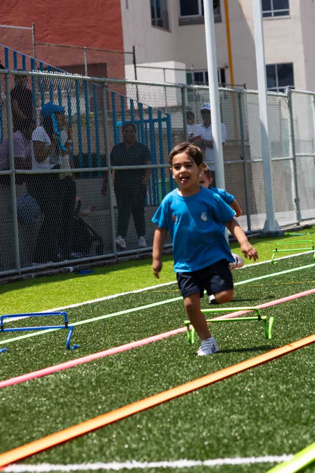 Ir a la Siguiente Foto