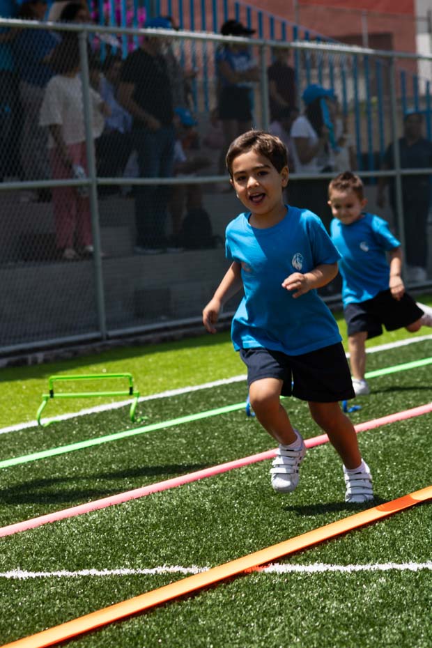 Ir a la Siguiente Foto