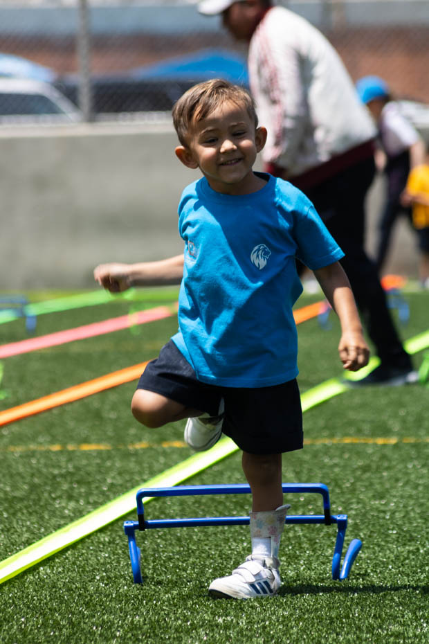 Ir a la Siguiente Foto