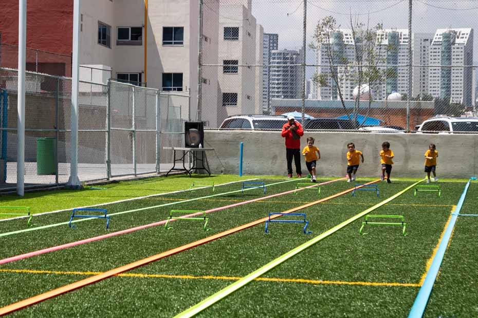 Ir a la Siguiente Foto