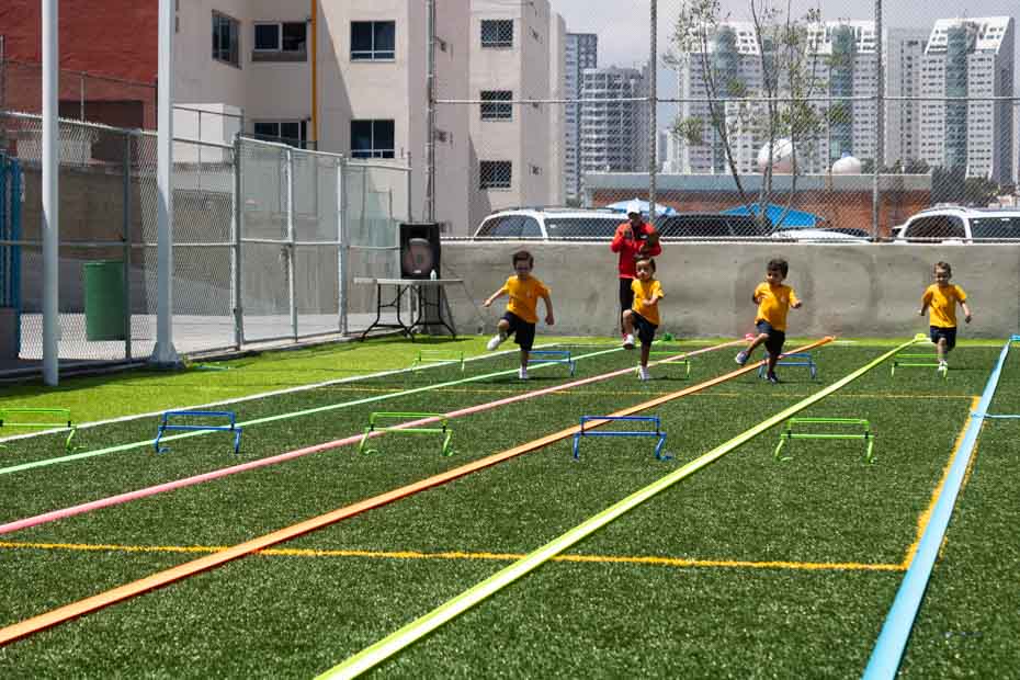 Ir a la Siguiente Foto