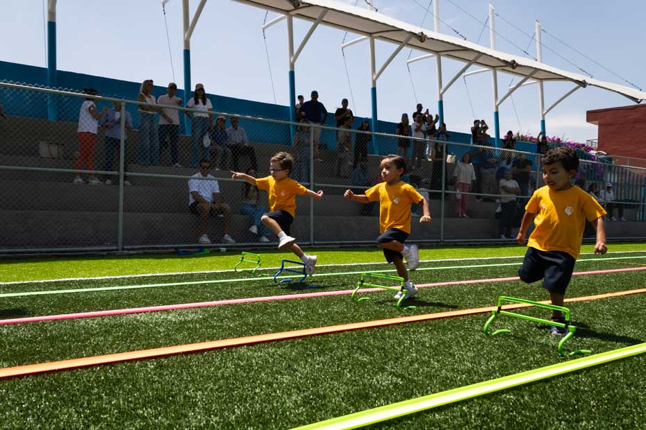 Ir a la Siguiente Foto