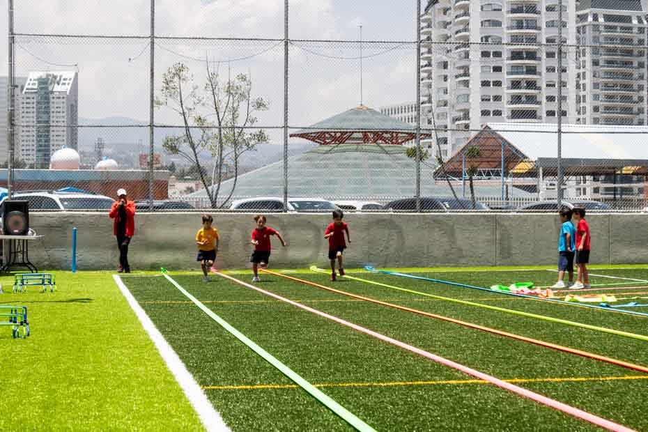 Ir a la Siguiente Foto