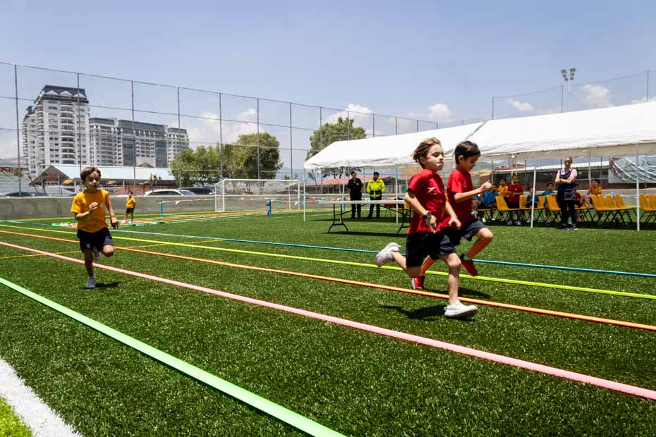 Ir a la Siguiente Foto