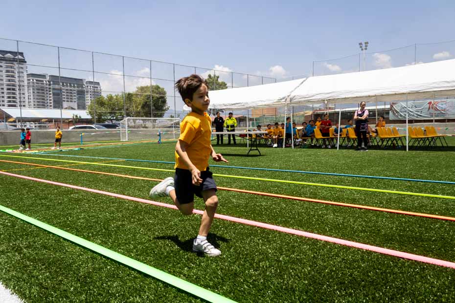 Ir a la Siguiente Foto