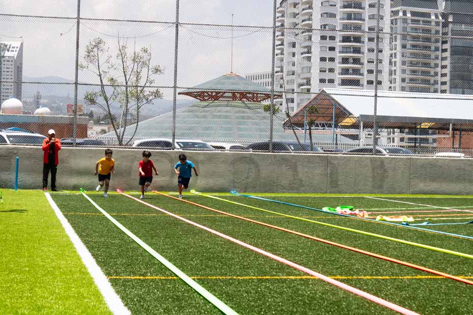 Ir a la Siguiente Foto