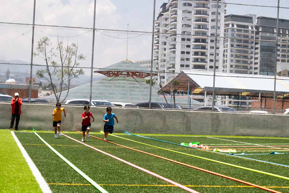 Ir a la Siguiente Foto