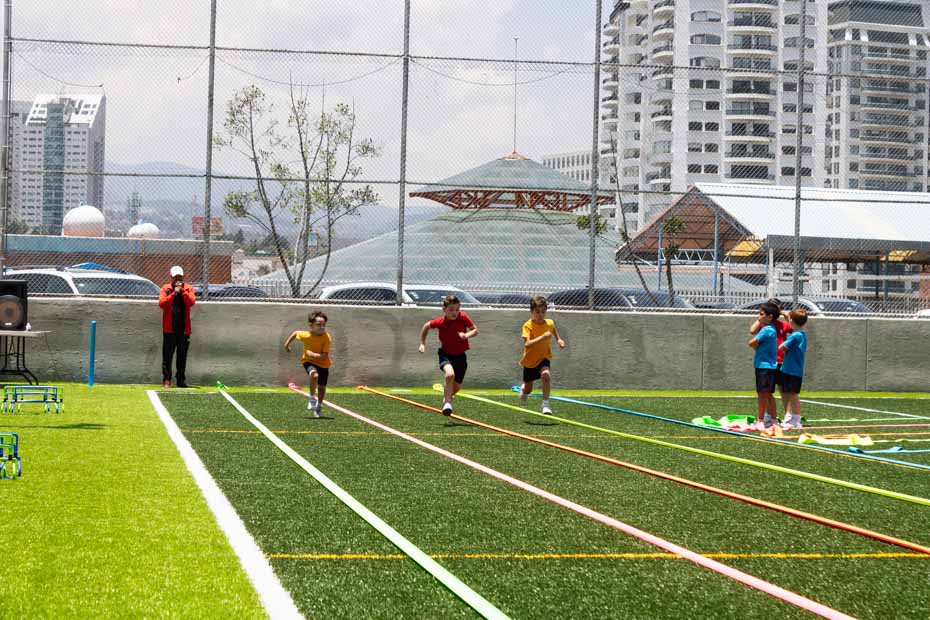 Ir a la Siguiente Foto