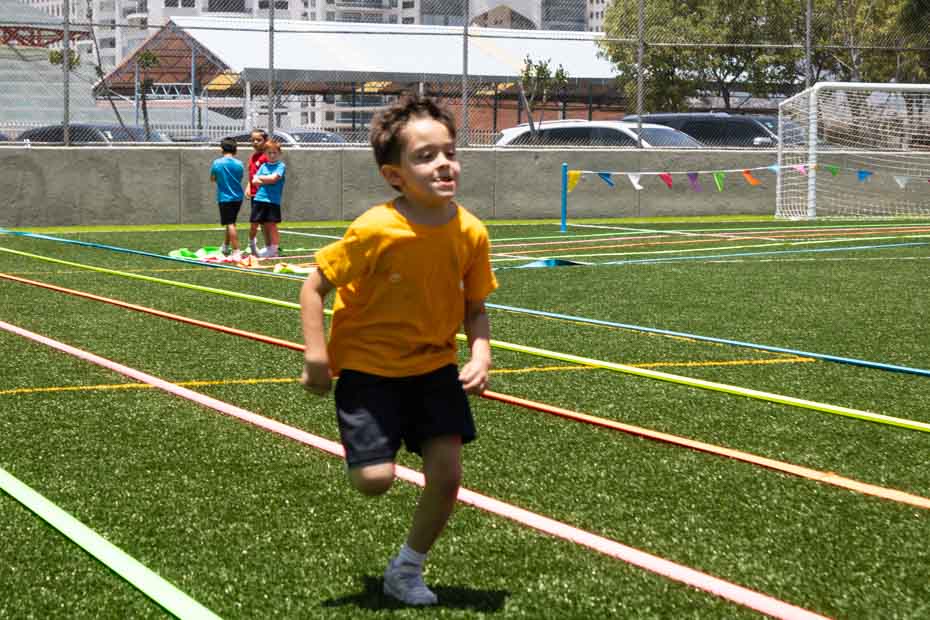 Ir a la Siguiente Foto