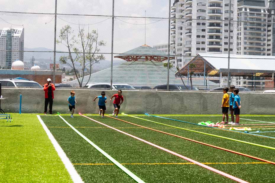 Ir a la Siguiente Foto