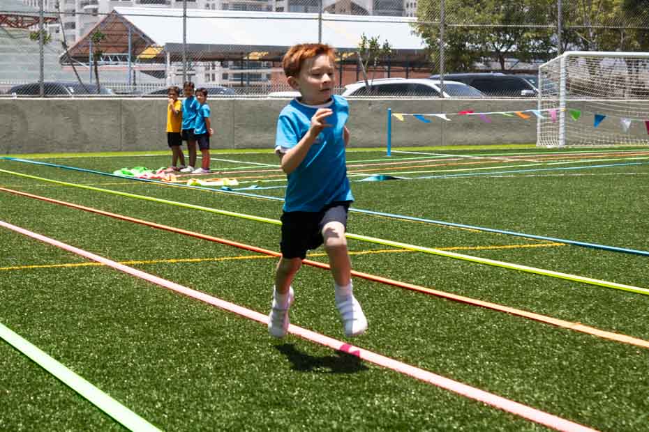 Ir a la Siguiente Foto