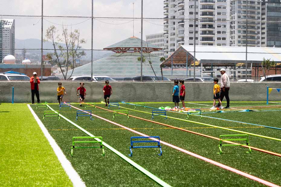 Ir a la Siguiente Foto