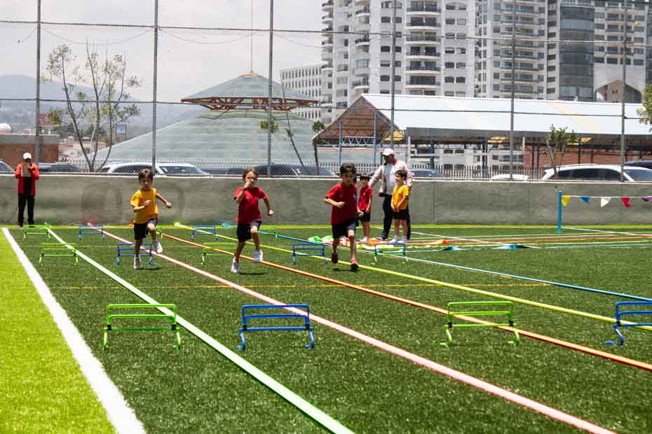 Ir a la Siguiente Foto