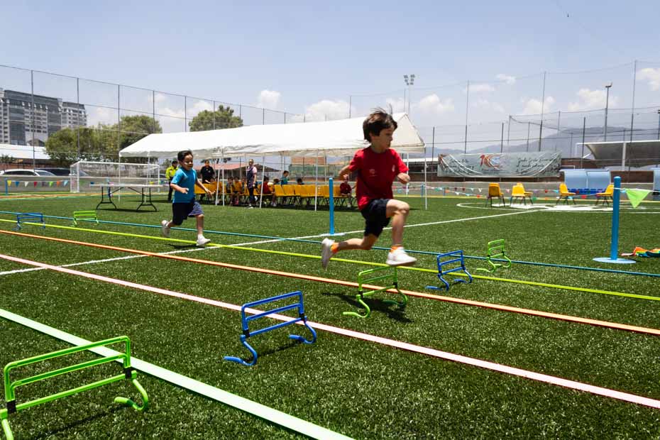 Ir a la Siguiente Foto