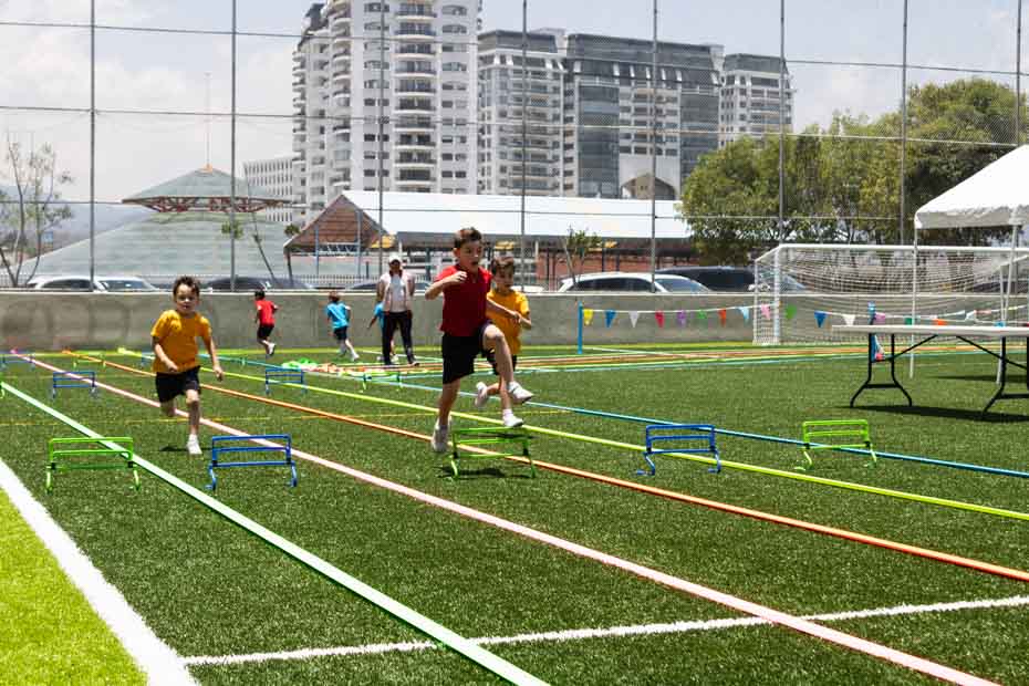 Ir a la Siguiente Foto