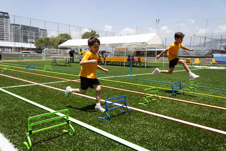 Ir a la Siguiente Foto