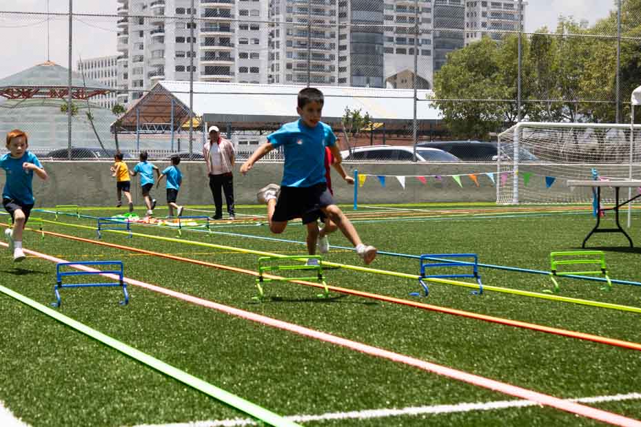 Ir a la Siguiente Foto