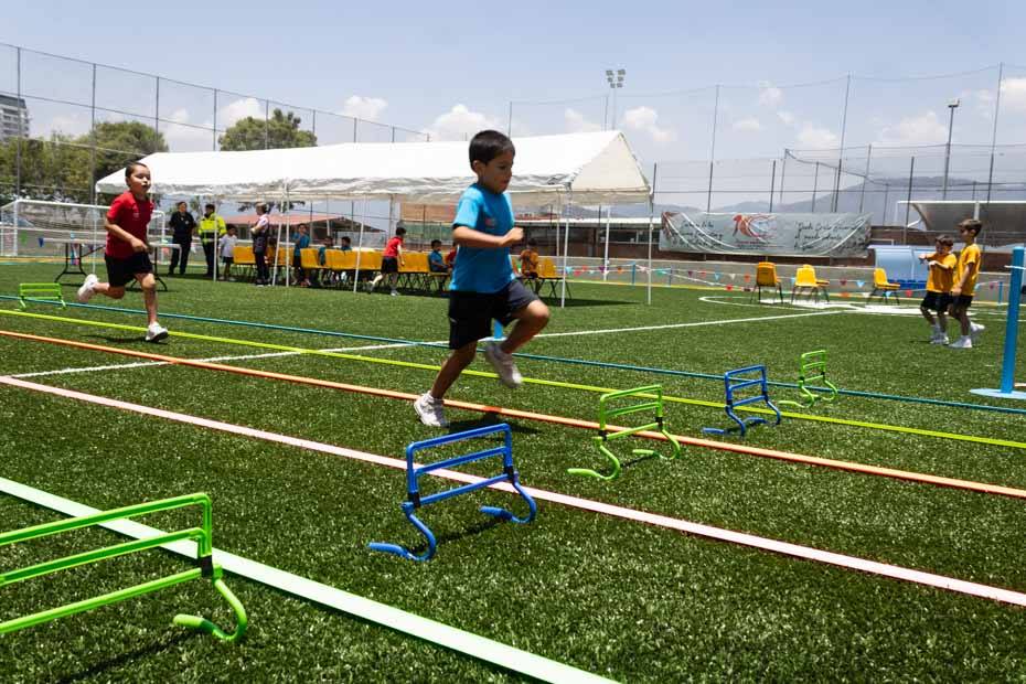 Ir a la Siguiente Foto