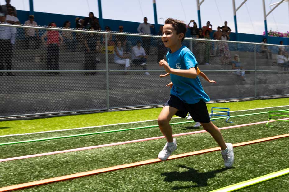 Ir a la Siguiente Foto