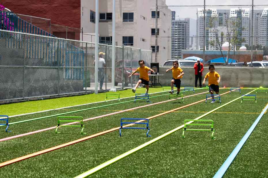 Ir a la Siguiente Foto