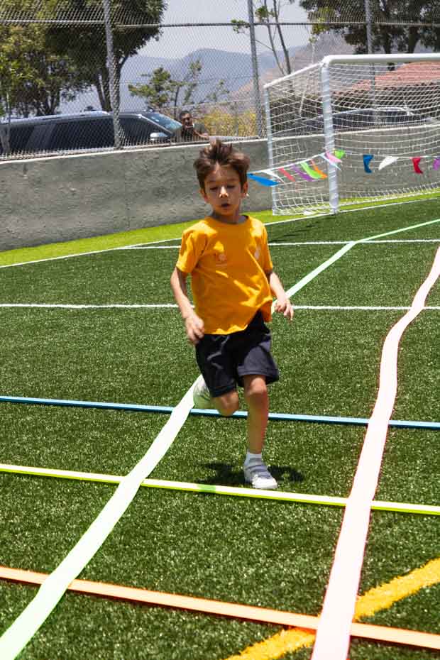 Ir a la Siguiente Foto