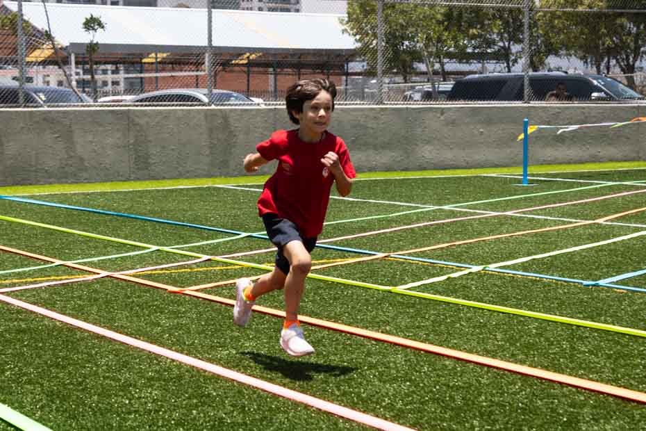 Ir a la Siguiente Foto