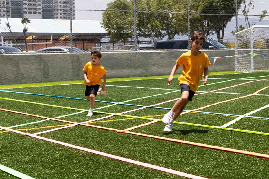 Ir a la Siguiente Foto