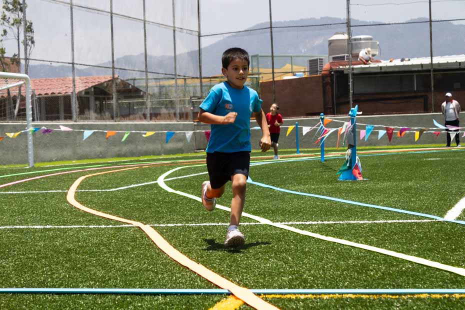 Ir a la Siguiente Foto