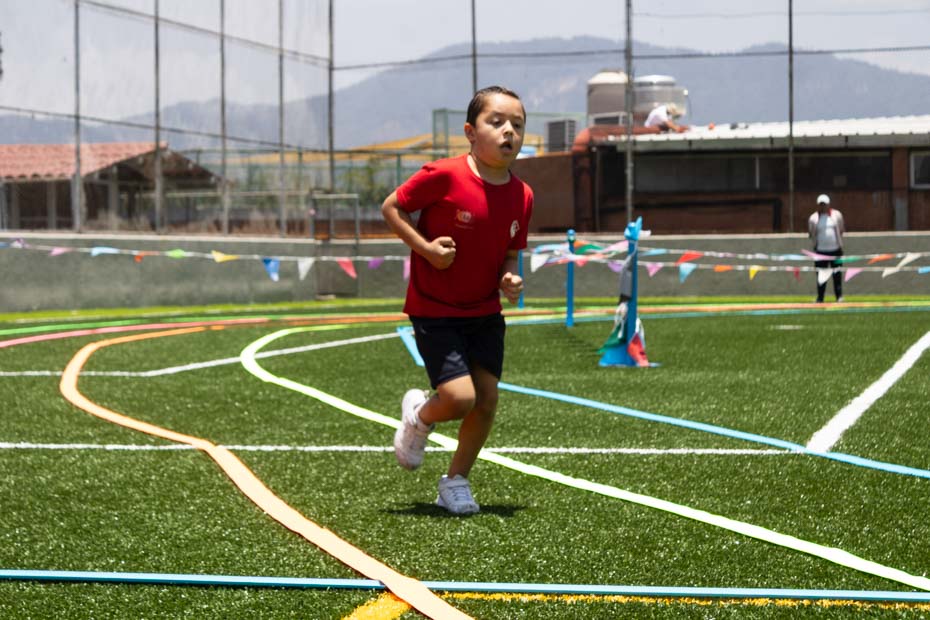 Ir a la Siguiente Foto