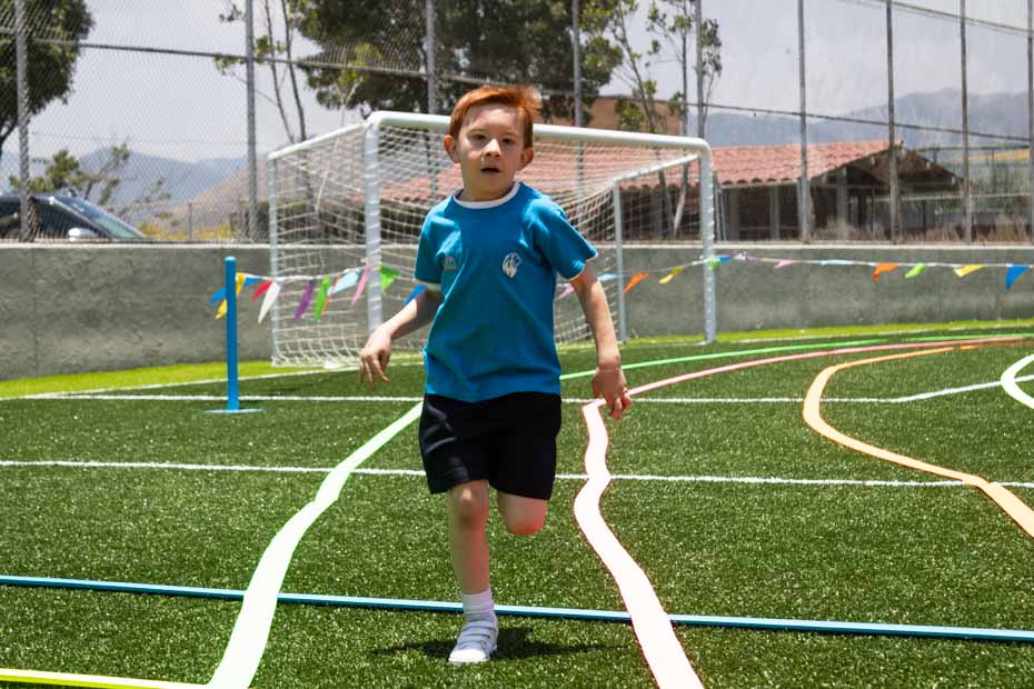 Ir a la Siguiente Foto