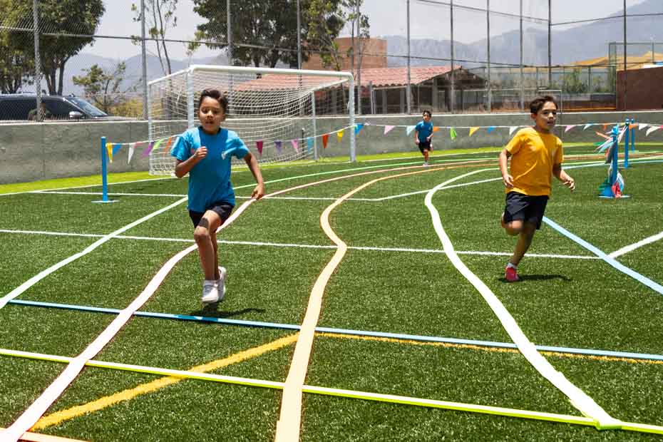 Ir a la Siguiente Foto