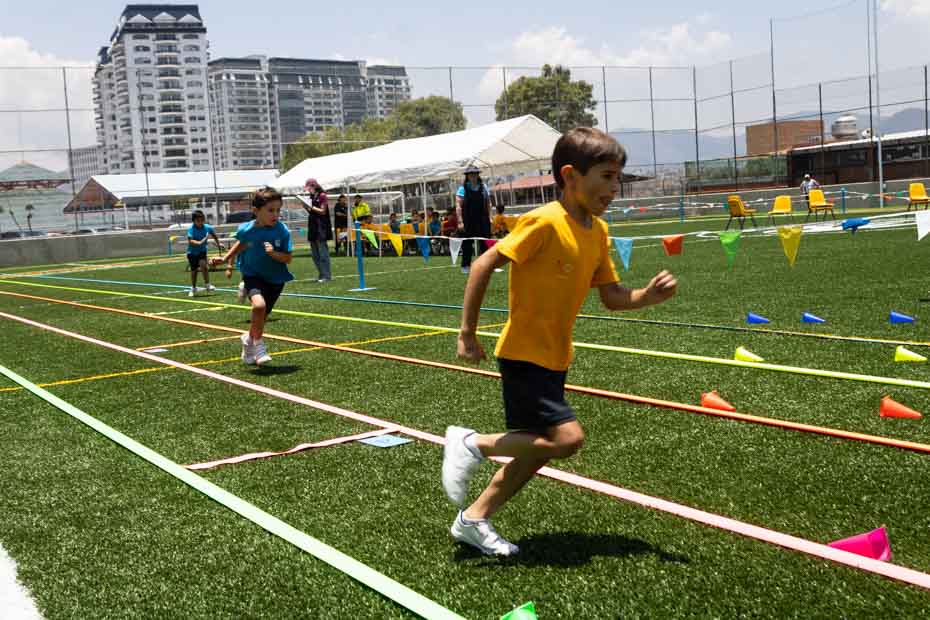 Ir a la Siguiente Foto