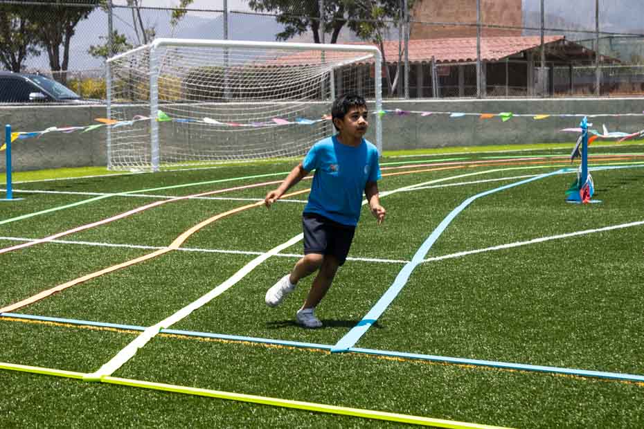 Ir a la Siguiente Foto