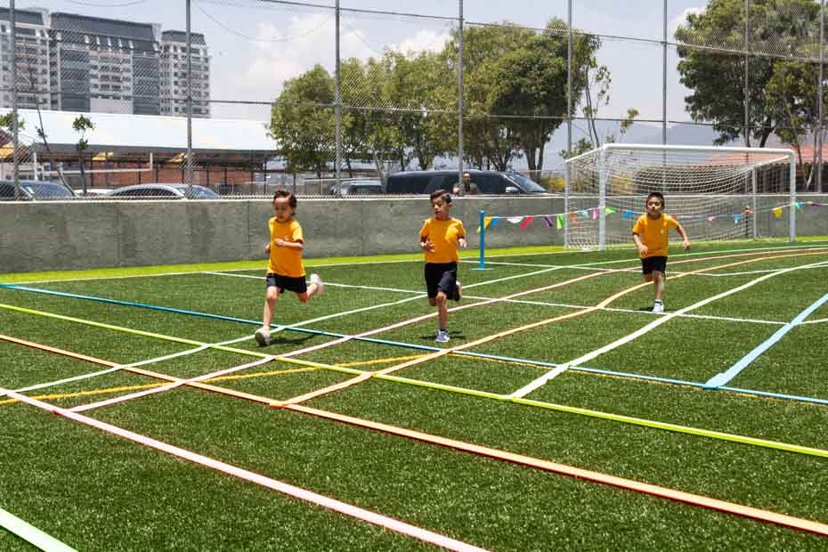 Ir a la Siguiente Foto