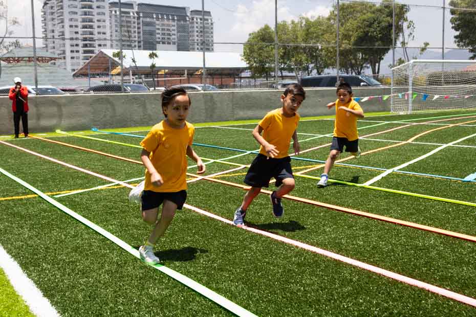 Ir a la Siguiente Foto