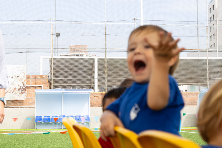 Ir a la Siguiente Foto