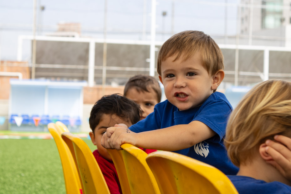 Ir a la Siguiente Foto