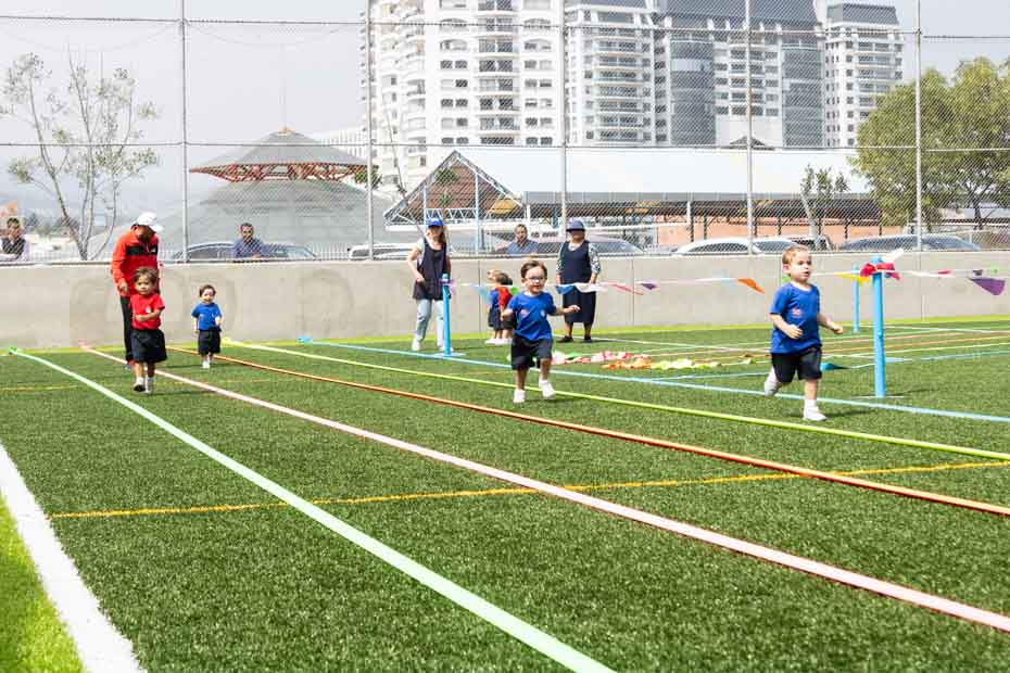 Ir a la Siguiente Foto