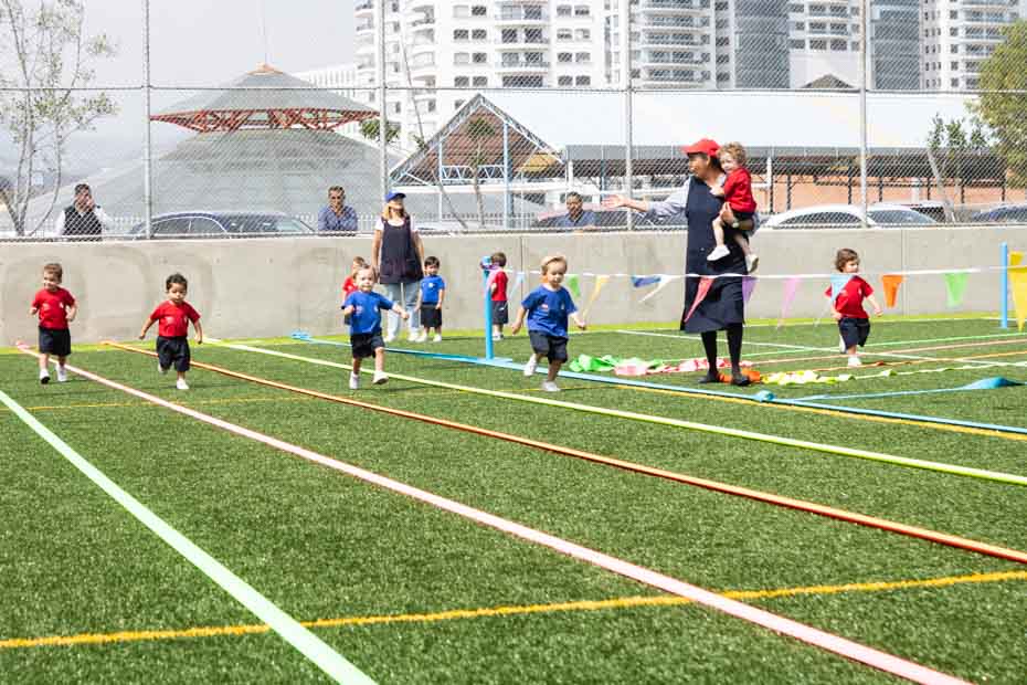 Ir a la Siguiente Foto