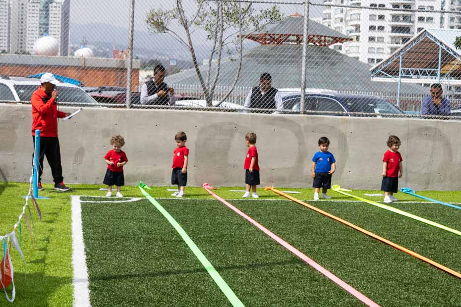 Ir a la Siguiente Foto